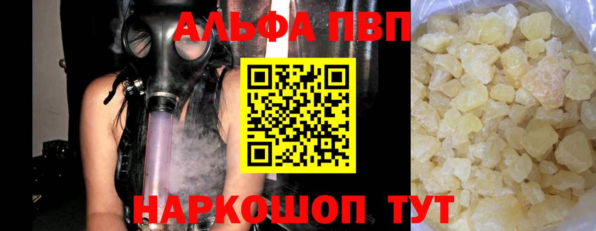 Alfa_PVP СК КРИС Гатчина