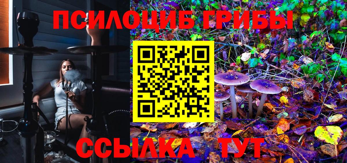 Галлюциногенные грибы мицелий Гатчина