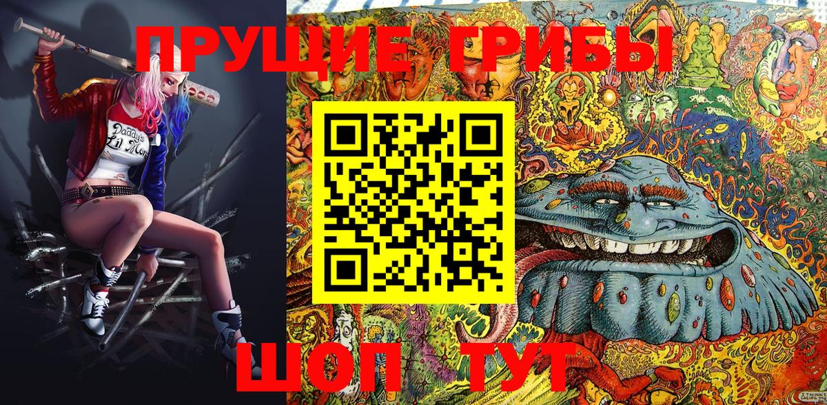 Гатчина  Галлюциногенные грибы Psilocybe  Вход с VPN  Псилоцибиновые грибы Psilocybine cubensis 